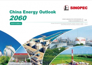 China Energy Outlook 2060